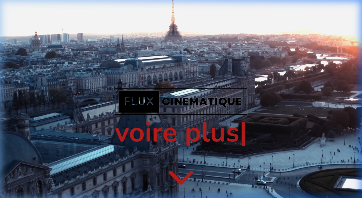 Flux Cinematique website screenshot